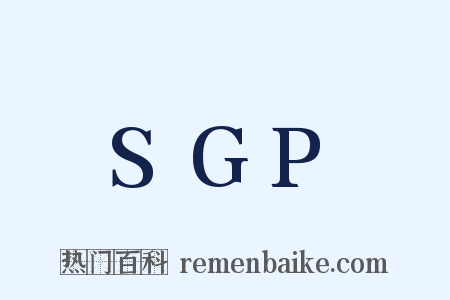 SGP是什么意思的图片